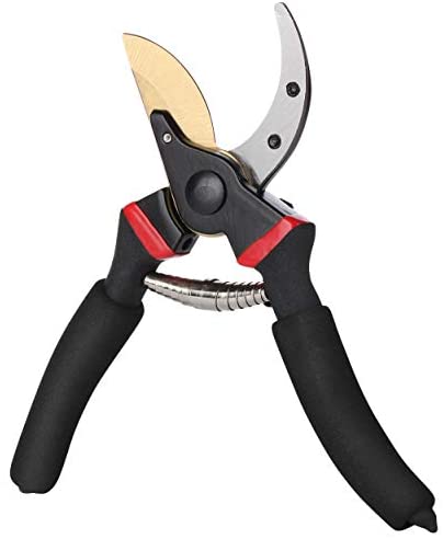 Professional Garden Shears, 8″ $9.99 shipped