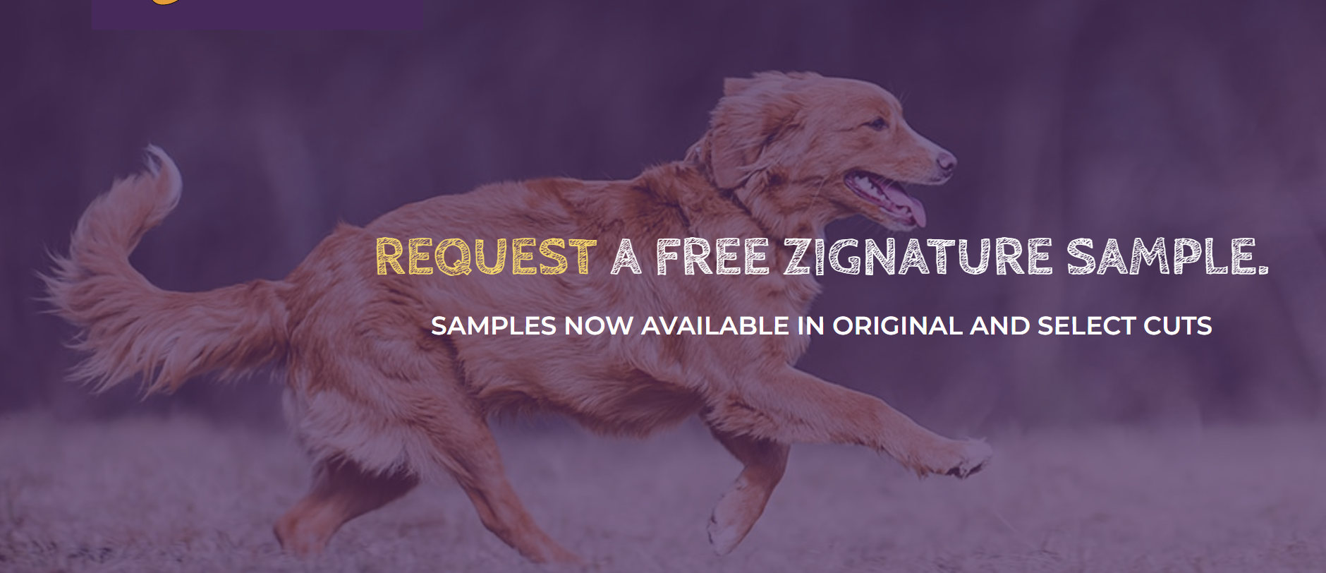 FREE Zignature Dog Food Sample