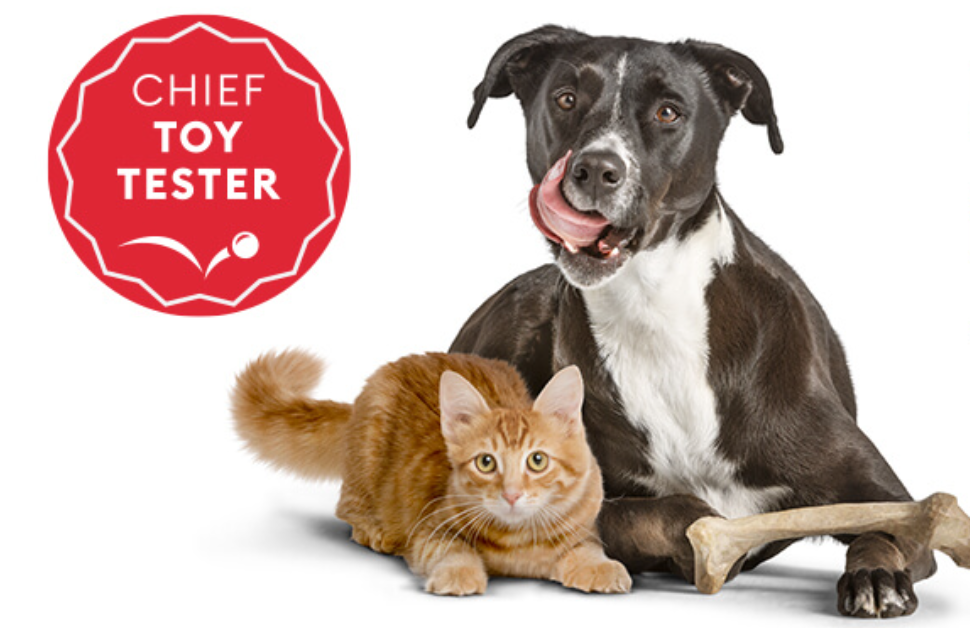 PetSmart’s First-Ever Chief Toy Tester